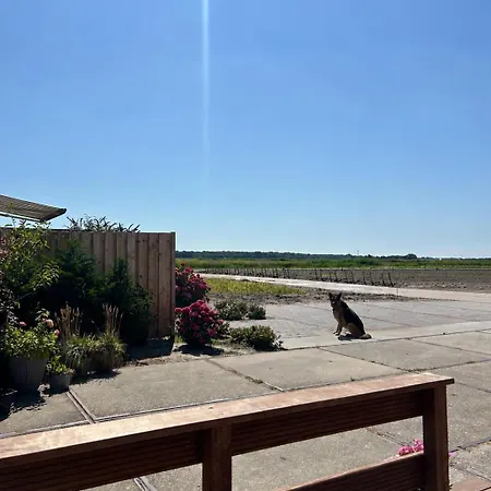 De Bloemenkwekerij Holiday home