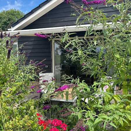 Holiday home De Bloemenkwekerij *