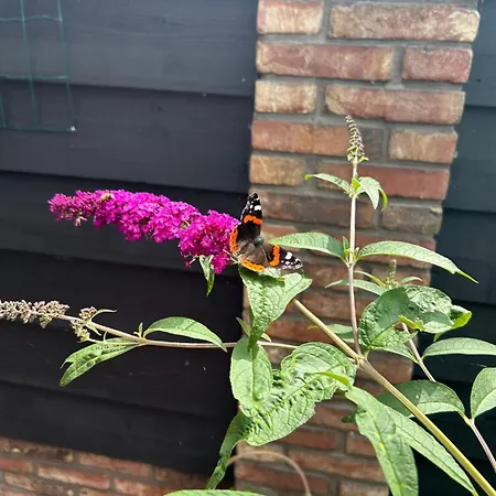 De Bloemenkwekerij